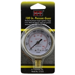 Gauge Pressure 2" 100#