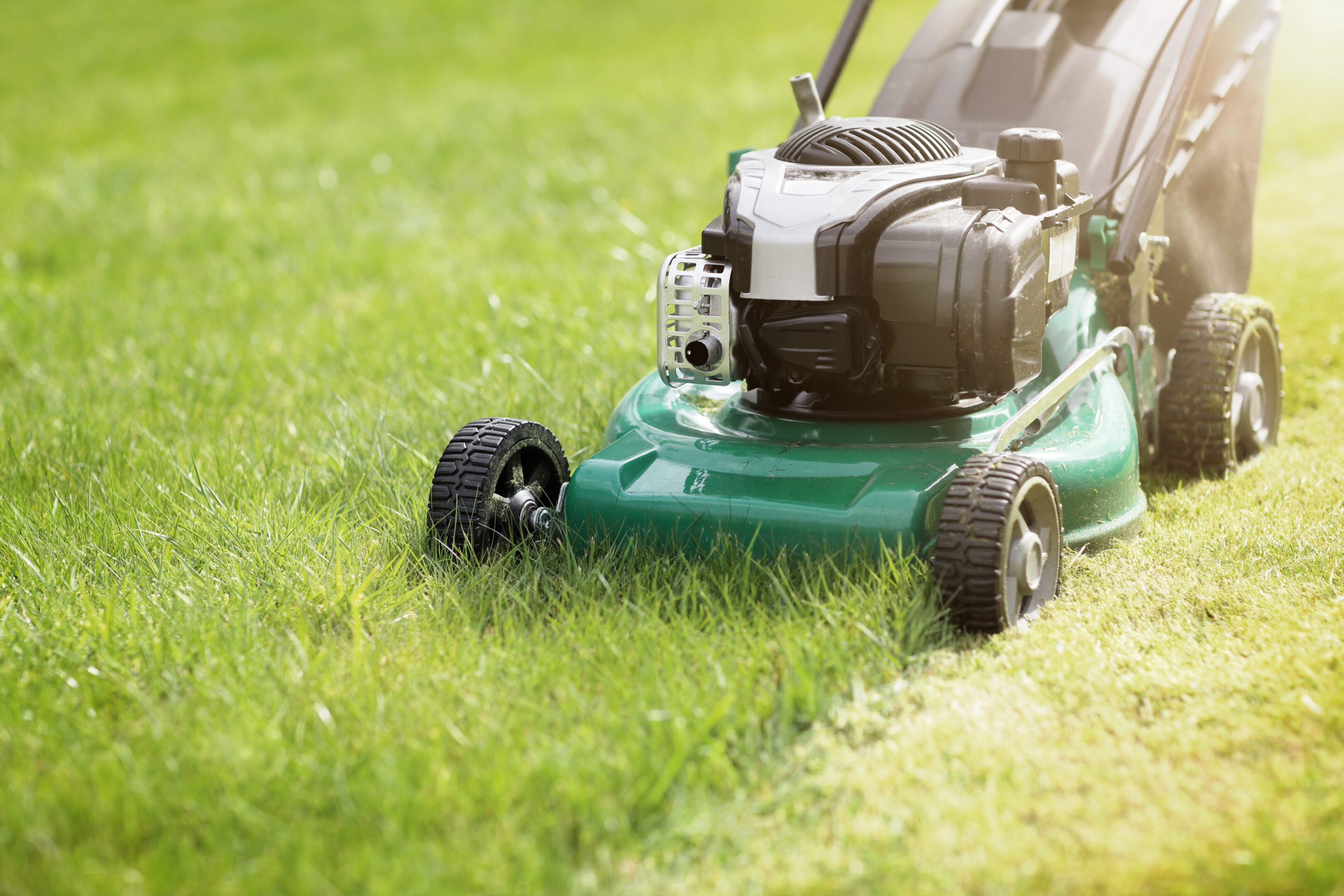 A green lawn mower cutting grass on a sunny day.
